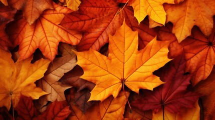 Poster - Vibrant autumn leaves creating a stunning background.