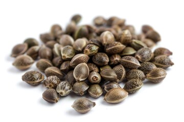 Wall Mural - Cannabis Seeds. Close-up of Marijuana Seeds Isolated on White Background for Agriculture or Cultivation