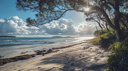 Wall Mural - Beach with trees and sky. copy space for text.