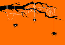 Cartoon Halloween cobweb and funny spiders on tree branch border. Vector black funny arachnid characters hang on strings down the webs. Venom scary spinner personages on spiderwebs, decorative frame