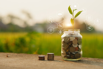 Wall Mural -  saving and a coin glass on the floor nature background