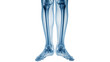 © Uncle-Ice - 3D medical illustration of a human leg bones for studying bone structure and anatomy