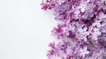 Wall Mural - Lilac flower bouquet on white background top view copy space Romantic spring image for card design cover printing screen wallpaper