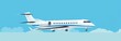 © robertuzhbt89 - Private jet airplane in flight