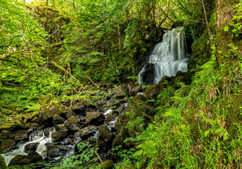 Wall Mural - Beautiful slow, silky water shot of a waterfall in the forest