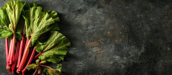 Poster - Freshly harvested organic rhubarb, perfect for recipes, with copy space image.