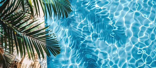 Poster - Blue swimming pool in summer with copy space image.