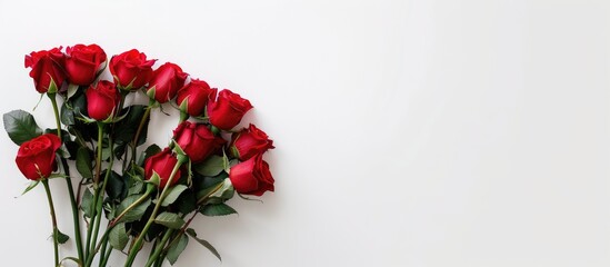 Poster - Bouquet of roses with copy space image on a white background.