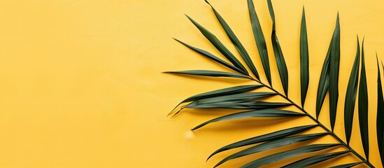 Sticker - Flat lay composition featuring a palm leaf against a vibrant yellow backdrop with ample copy space for text, creating a tropical aesthetic with a large tropical plant branch. Close-up view.