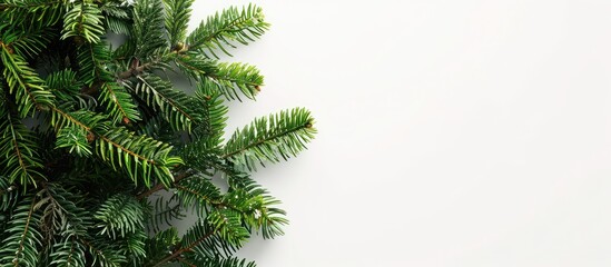 Poster - Top view of a festive fir tree on a white backdrop with copy space image for your text, ideal for Christmas or New Year greetings.
