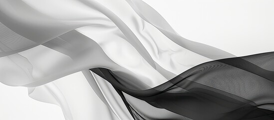 Poster - Elegant copy space image featuring a blend of white and black.