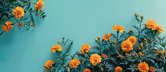 Poster - Marigold flowers and leaves in orange hues contrast beautifully against a blue background in this panoramic copy space image.