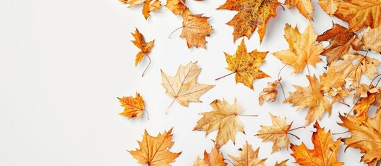 Wall Mural - Fall season theme is depicted by dry leaves in the lower right corner with room for text in the image. Copy space image. Place for adding text and design