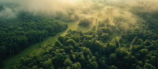 Poster - An aerial drone captures a scenic rural landscape with a lush green forest in the backdrop, offering a picturesque view with copy space image.