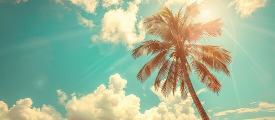 Poster - Tropical palm tree with sunlight against a blue sky and clouds creates a serene background for vacation and travel concepts with a vintage color style in the image's copy space.
