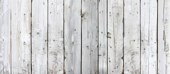 Poster - Background featuring a white wood plank texture with copy space image.