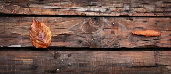 Poster - Top view of a vintage wooden background with a single dry brown leaf in an autumn composition, providing copy space image.