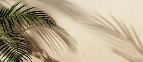 Poster - A serene beach-themed mockup featuring palm leaves on a soft beige backdrop, designed in monochrome with space for additional image content.