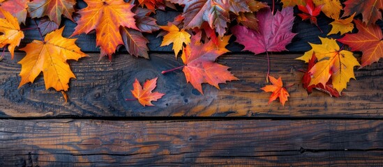 Wall Mural - Autumn maple leaves in vibrant colors on a wooden backdrop with copy space image.