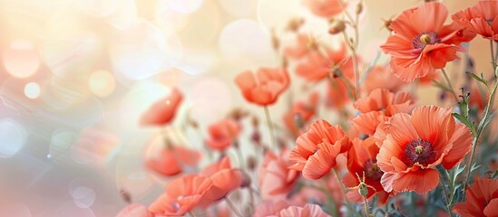 Poster - Blooming European Cornel with a beautiful background for text placement, creating a stunning copy space image.