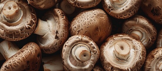 Poster - Close-up view of brown mushrooms, including champignons, whole and cut in half, with ample copy space image in the frame.