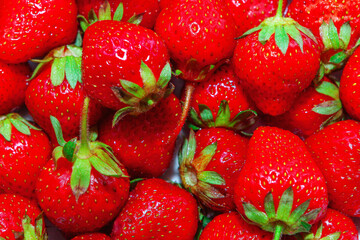 Bunch of red strawberries with green leaves. The strawberries are fresh and ripe. Concept of abundance and freshness