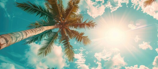 Poster - Tropical palm tree with sunlight against a blue sky and clouds creates a serene background for vacation and travel concepts with a vintage color style in the image's copy space.