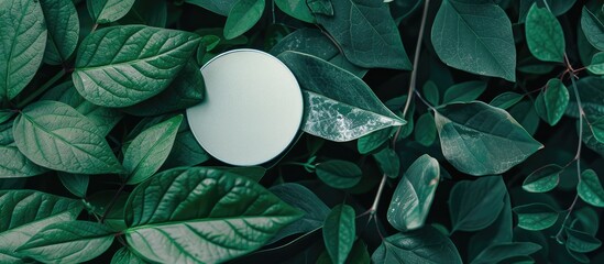 Poster - Minimalist nature concept with a white round shape on a green leaf background, ideal for text or logo placement in a flat lay copy space image.