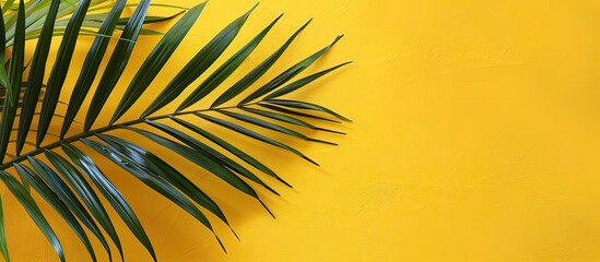 Canvas Print - Flat lay composition featuring a palm leaf against a vibrant yellow backdrop with ample copy space for text, creating a tropical aesthetic with a large tropical plant branch. Close-up view.