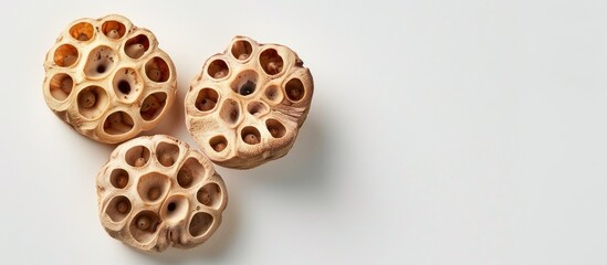 Poster - Copy space image featuring lotus root on a white backdrop.