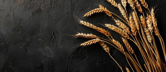 Poster - Wheat ears on a black background with copy space image available.