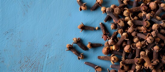 Poster - On the right, brown whole clove grains rest on a blue backdrop in a side view copy space image, showcasing the fragrant and healing spice.