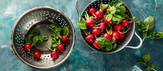 Poster - Top view of fresh radishes in a colander on a blue board with copy space image.