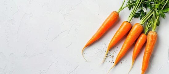 Poster - Orange carrots on white background with copy space image.