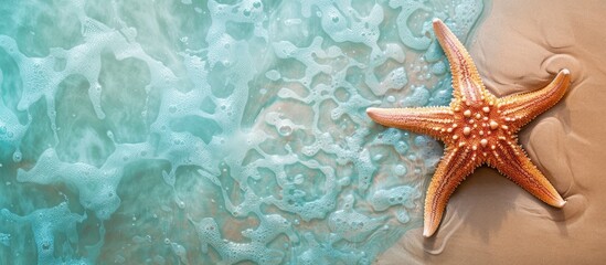 Poster - Top view of a starfish on a sandy tropical beach with space for text in the image. Copy space image. Place for adding text and design
