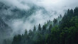 © brillianata - Misty foggy mountain landscape with fir forest
