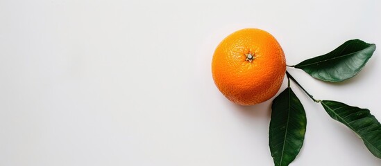 Poster - A picture of an orange with leaves against a white backdrop featuring ample copy space image.
