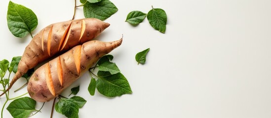 Poster - Isolated on the white backdrop is a photograph of sweet potato leaves, with plenty of space around for additional content, known as a copy space image.