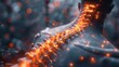 © Premium Graphics - Spinal health visualization Man experiencing scoliosis a glowing depiction of the spine's abnormal curvature