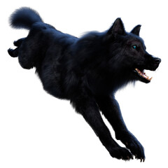 Wall Mural - 3D Rendering Black Wolf on White