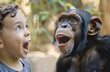 © Татьяна Макарова - Young boy and chimpanzee, both with open mouths in excitement or surprise, side by outdoor setting