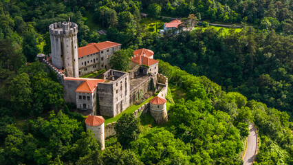 Wall Mural - Hilltop Rihemberk Castle Surrounded by Lush Scenery in Branik, Slovenia