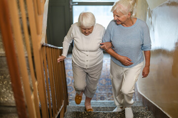 Sticker - Caregiver helping an elderly woman up the stairs
