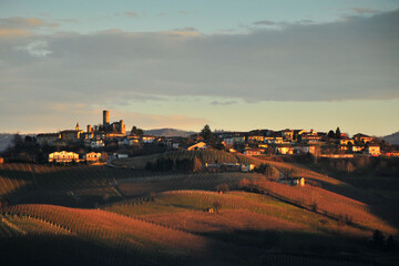 Wall Mural - the land of wine, Langhe Piedmont Italy