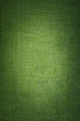 Poster - texture of green leather.