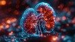 © Li - Futuristic Digital Illustration of kidney Anatomy with Glowing Blue Network on Dark Background