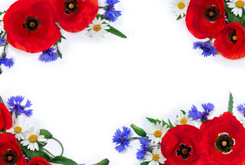 Wall Mural - Wildflowers, flowers red poppy, daise, cornflower on a white background with space for text. Top view, flat lay