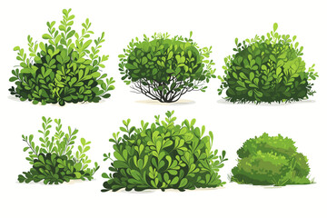 set of vector bush illustrations on a white background. green flat bushes on white background. green