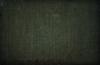 © Irina - Old dark green grunge canvas texture for background