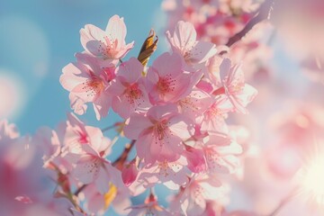 Poster - A close-up of a bunch of pink flowers